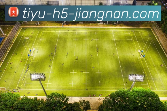 江南体育平台生态图